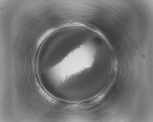 X0000058141054200509231036