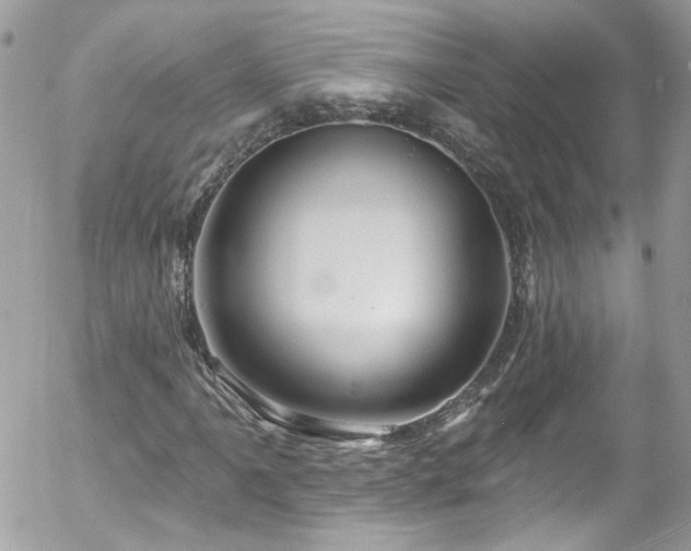 X0000058141061200509231035