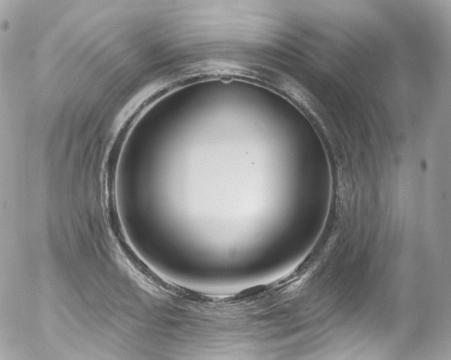 X0000058141082200509231035