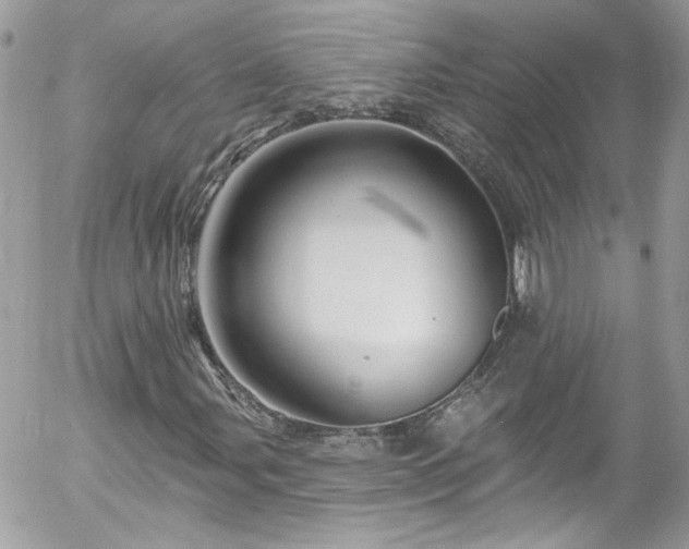 X0000058141107200509231033