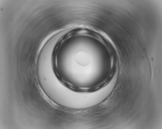 X0000058141148200509231034