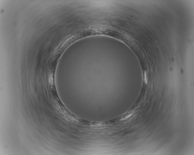 X0000058141155200509231033