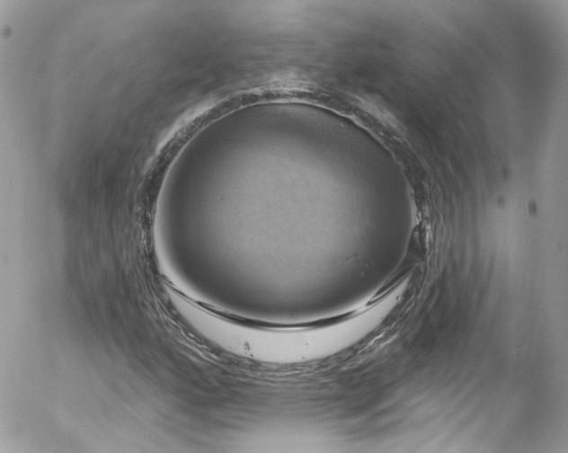 X0000058141160200509231033