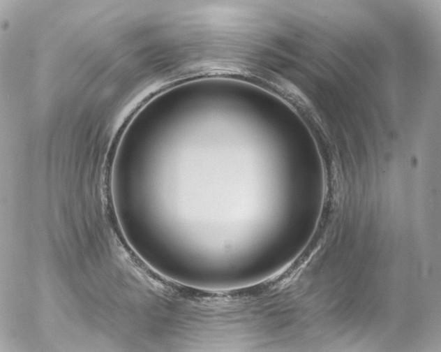 X0000058141182200509231033
