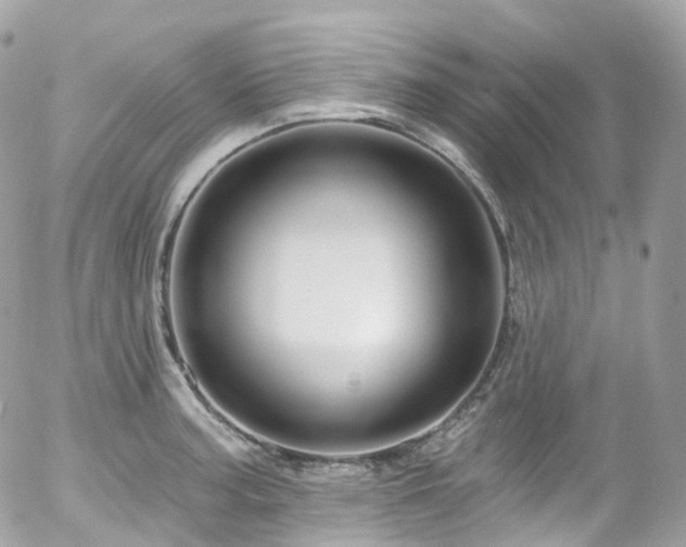 X0000058141187200509231033
