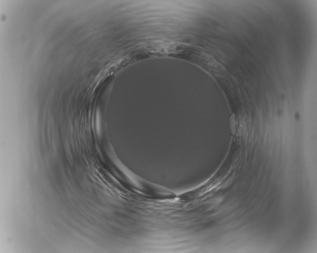 X0000058141202200509231032
