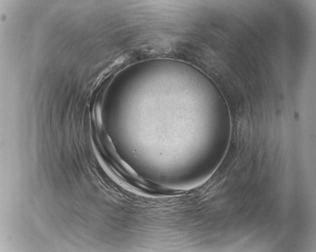 X0000058141250200509231032
