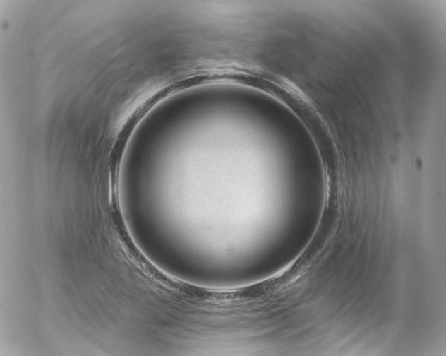 X0000058141269200509231031