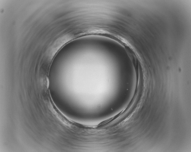 X0000058141281200509231031