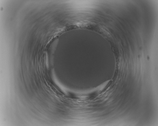 X0000058141298200509231030