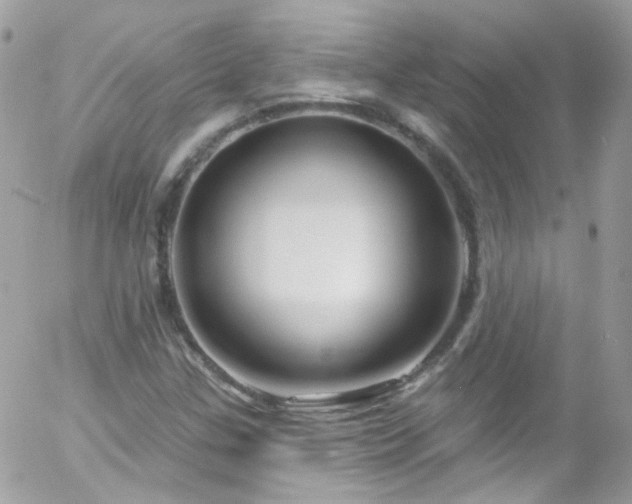X0000058141307200509231030