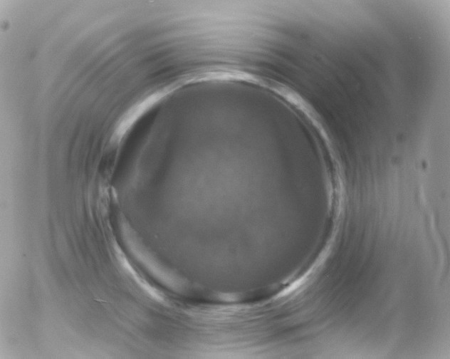 X0000058141385200509231029