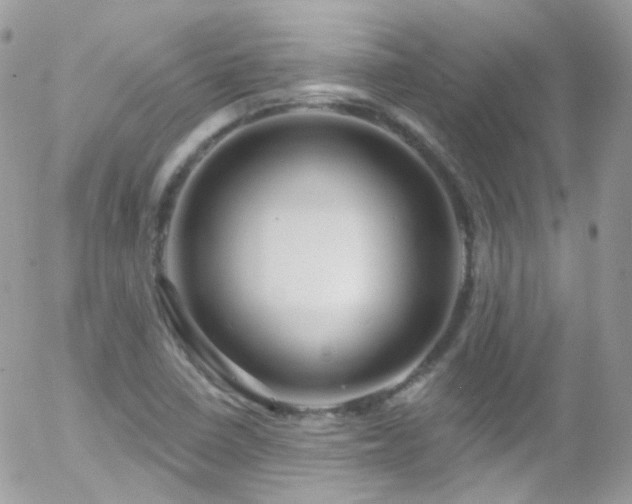 X0000058141410200509231029