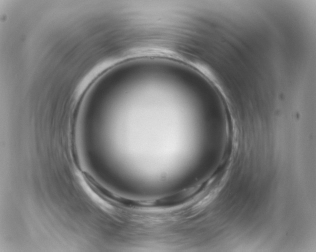 X0000058141438200509231029