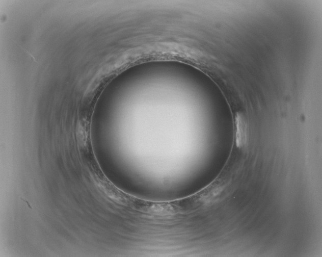 X0000058141491200509231027