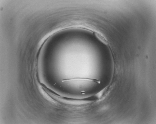 X0000058141526200509231027