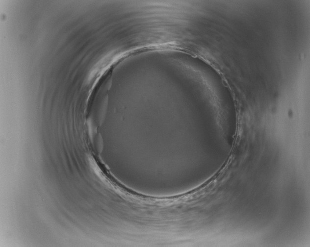 X0000058140002200509261324