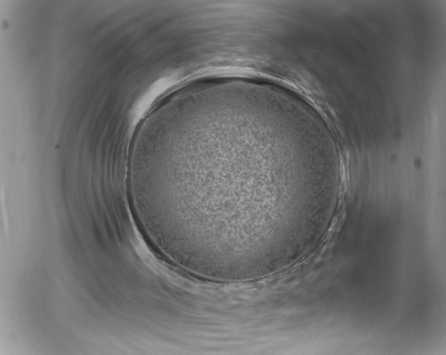 X0000058140003200509261324