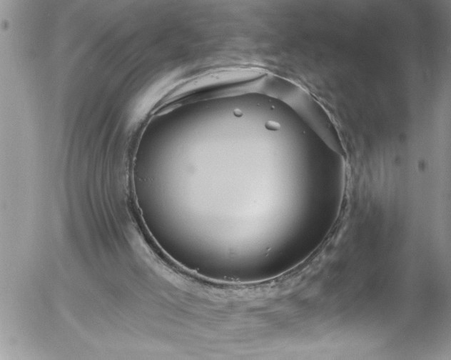 X0000058140005200509261324