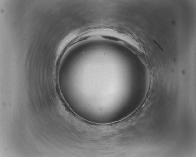 X0000058140006200509261324