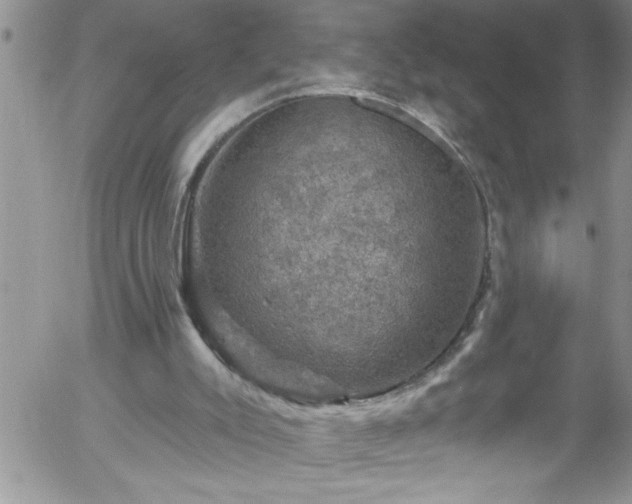 X0000058140007200509261324