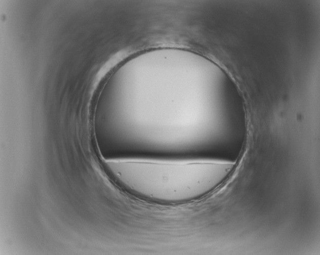 X0000058140008200509261324