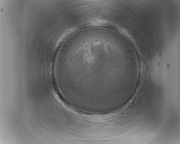 X0000058140010200509261324