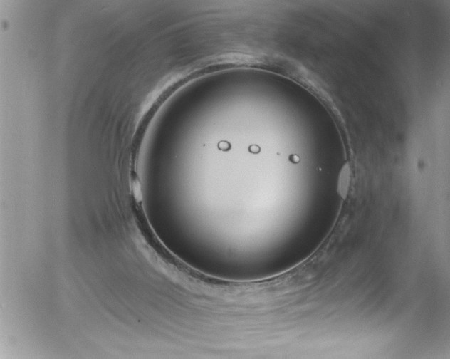 X0000058140011200509261324