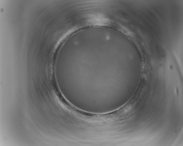 X0000058140012200509261324