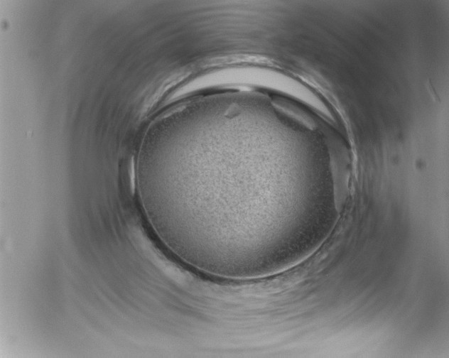 X0000058140013200509261324