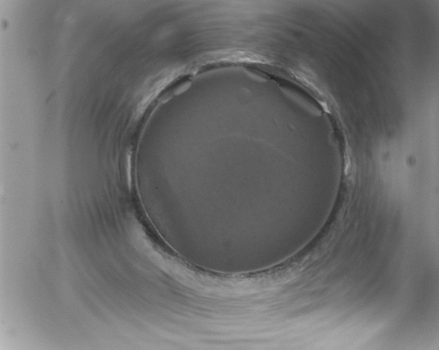 X0000058140014200509261324