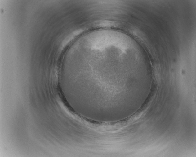 X0000058140016200509261324