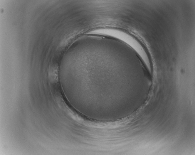 X0000058140017200509261324