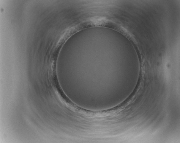 X0000058140018200509261324