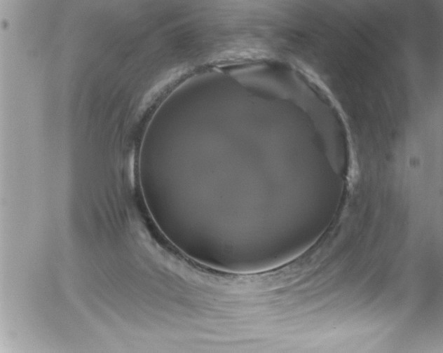 X0000058140019200509261324