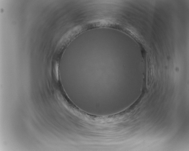 X0000058140022200509261323