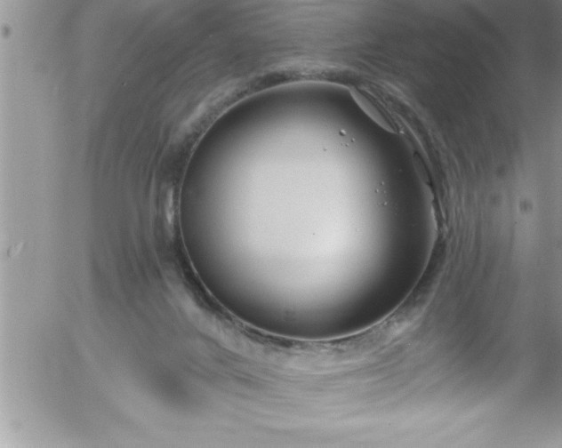 X0000058140024200509261323