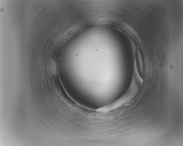 X0000058140025200509261323