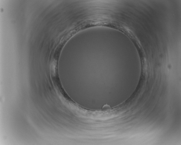 X0000058140026200509261323