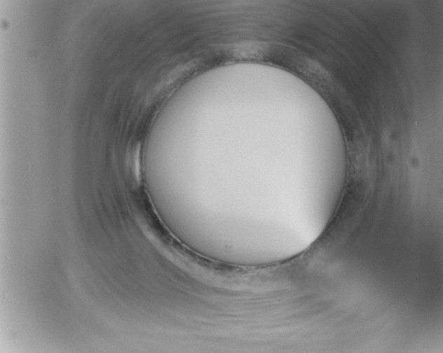 X0000058140028200509261323