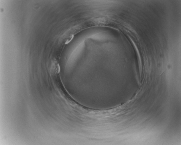 X0000058140029200509261323