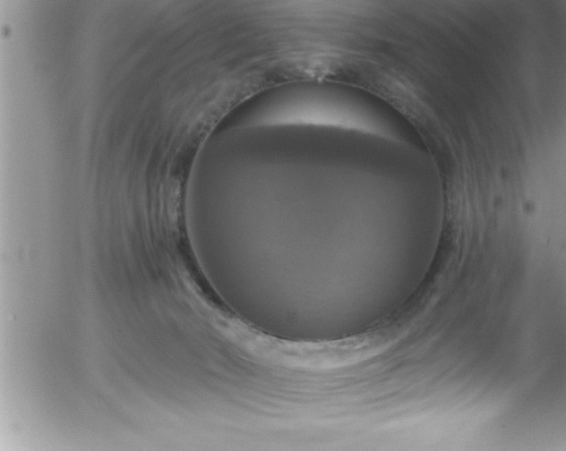 X0000058140030200509261323