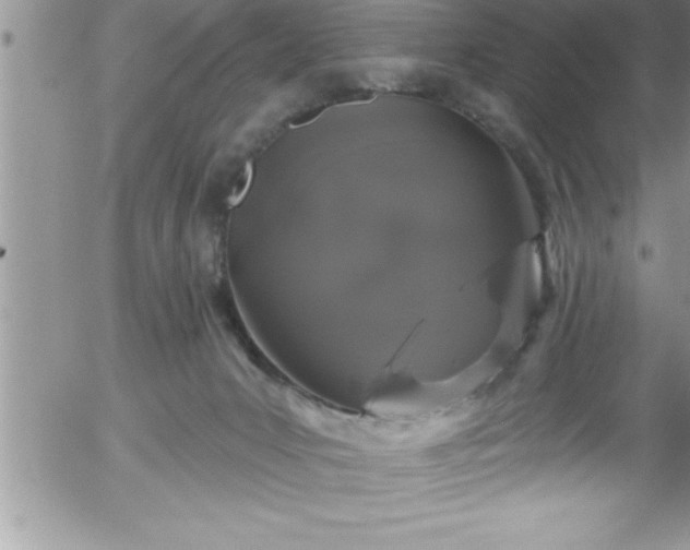 X0000058140031200509261323