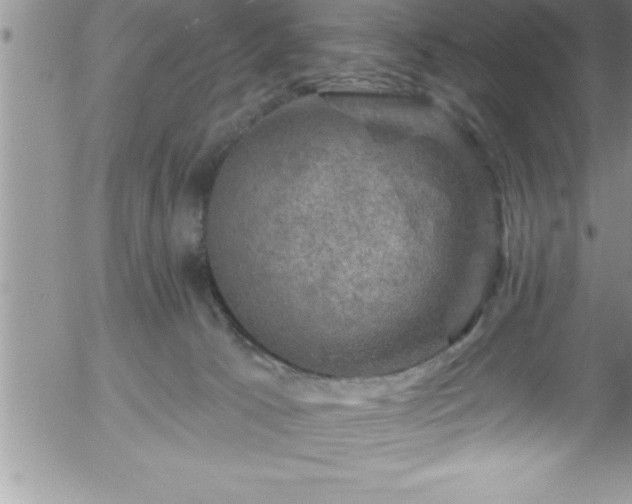 X0000058140033200509261323