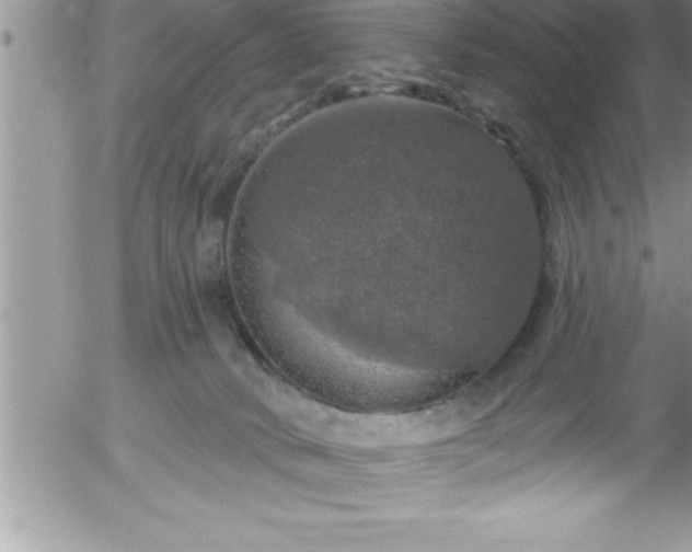 X0000058140034200509261323