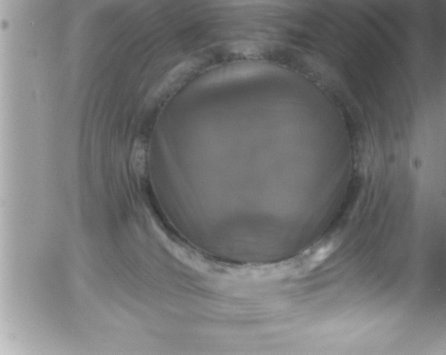 X0000058140036200509261323