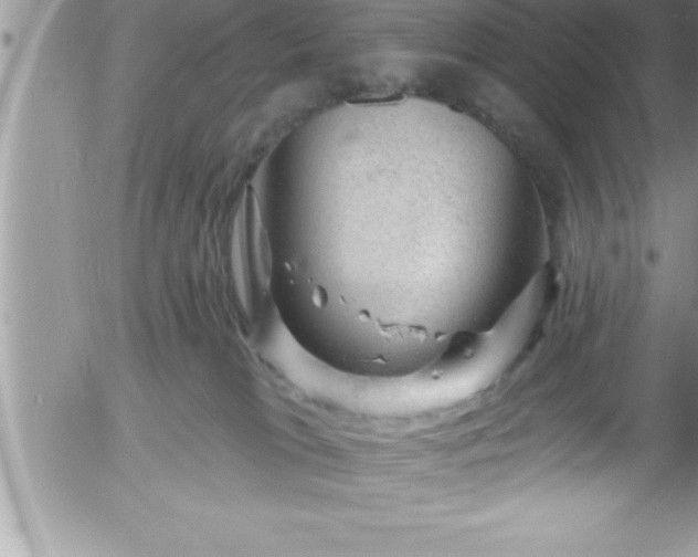 X0000058140037200509261323