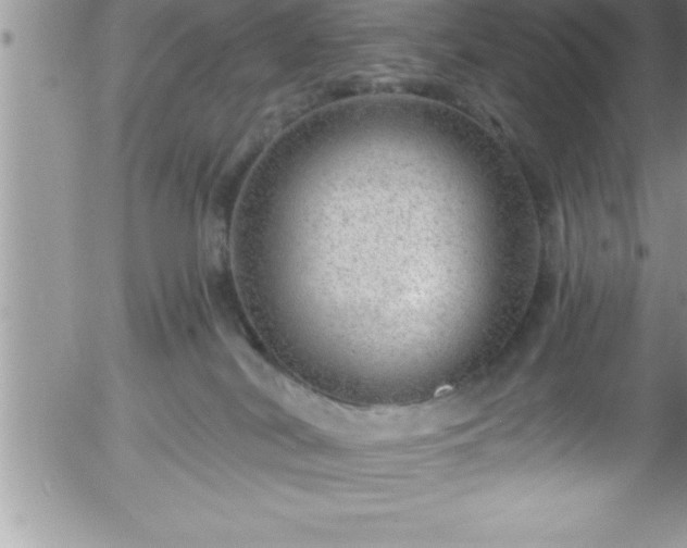 X0000058140038200509261323