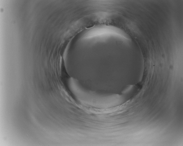 X0000058140039200509261323