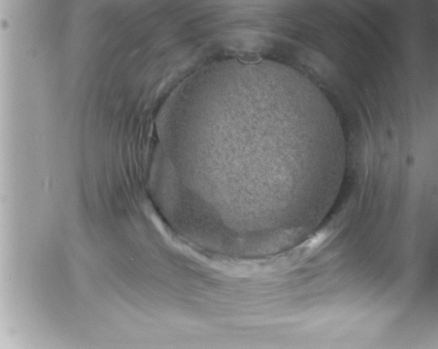 X0000058140040200509261323